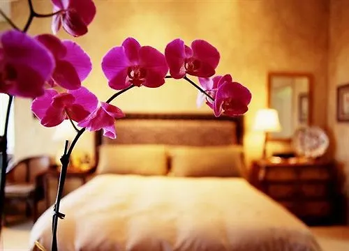 Hotel Davanzati Firenze